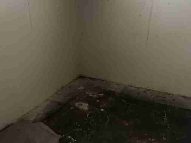 Testing again(21).jpg